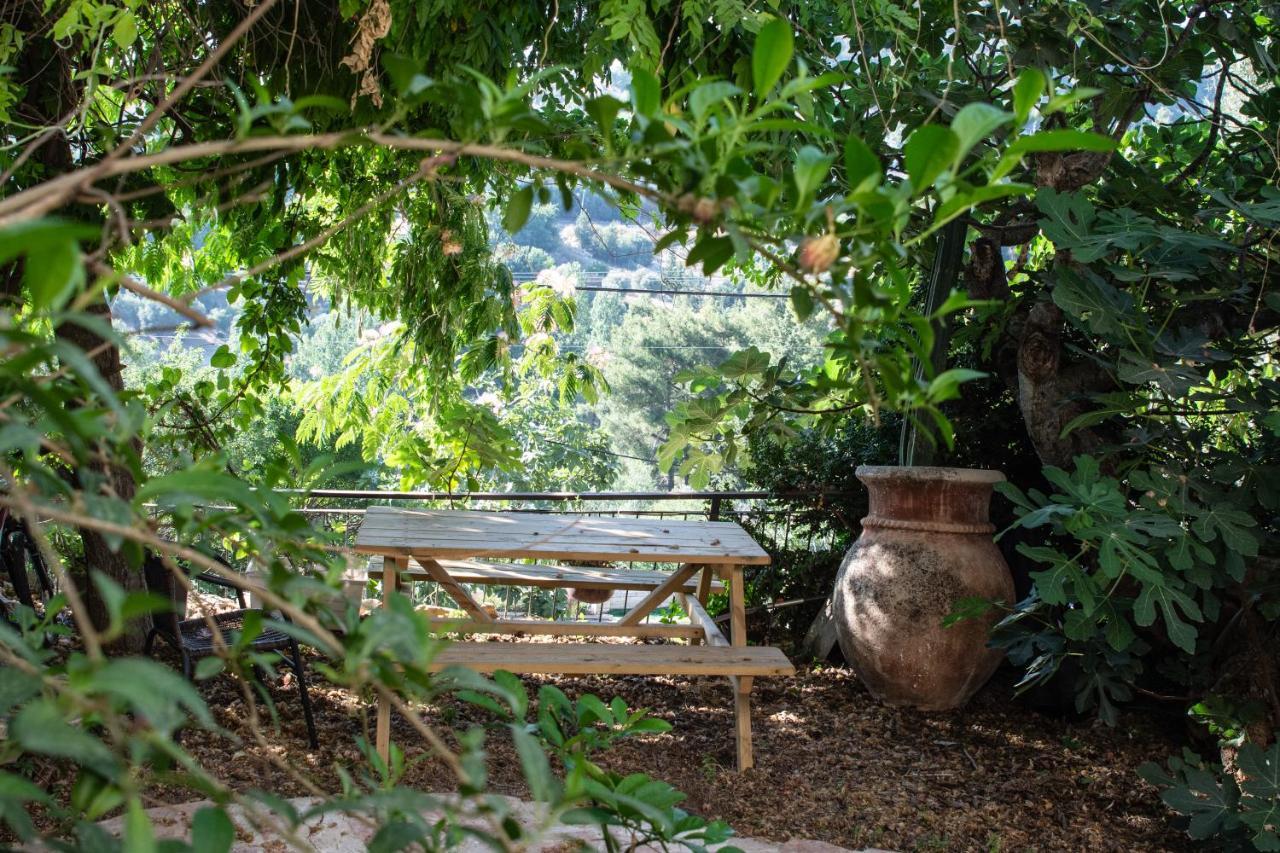 Harmony Inn Safed Kültér fotó